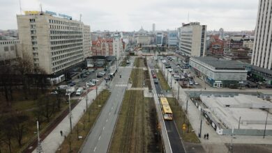 Katowice rozpoczynają sadzenie kolejnych drzew przy al. Korfantego. Fot. UM Katowice