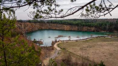 Wiosna w Parku Gródek w Jaworznie [ZDJĘCIA]. Fot. P. Jędrusik