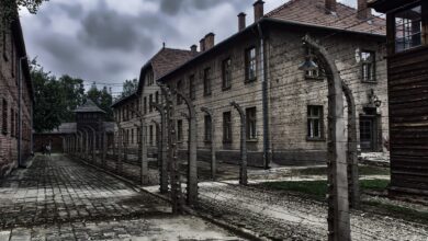 "Oświęcim i Dachau wiedzą, do czego prowadzi nienawiść i wojna". Starostowie wystosowali wspólne oświadczenie