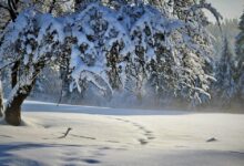Powrót zimy. W najbliższych dniach intensywne opady śniegu i kilkustopniowy mróz w nocy (fot.pixabay.com)