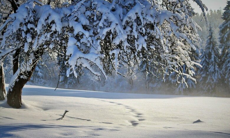 Powrót zimy. W najbliższych dniach intensywne opady śniegu i kilkustopniowy mróz w nocy (fot.pixabay.com)