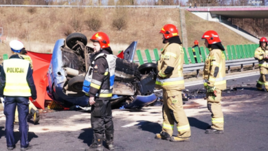 Śmiertelny wypadek na S52 pod Cieszynem. Nissan micra jechał pod prąd. F. Policja w Cieszynie