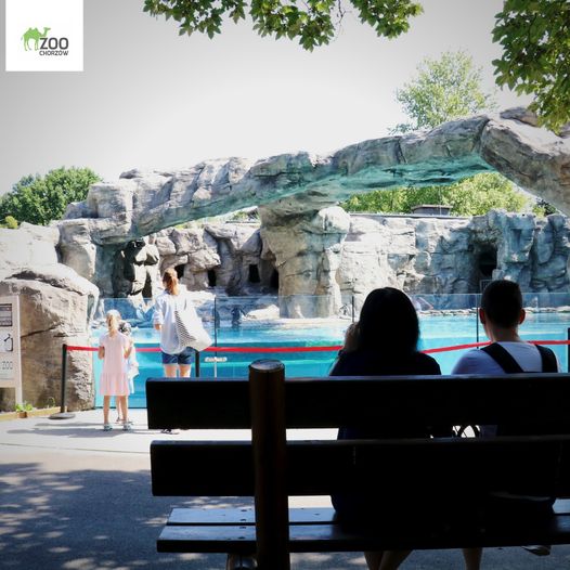 fot.Śląski Ogród Zoologiczny/fb