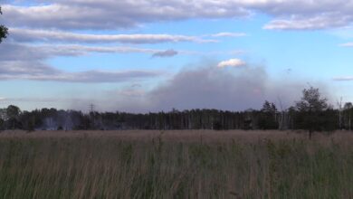 Pożar lasów w Miasteczku Śląskim [WIDEO]