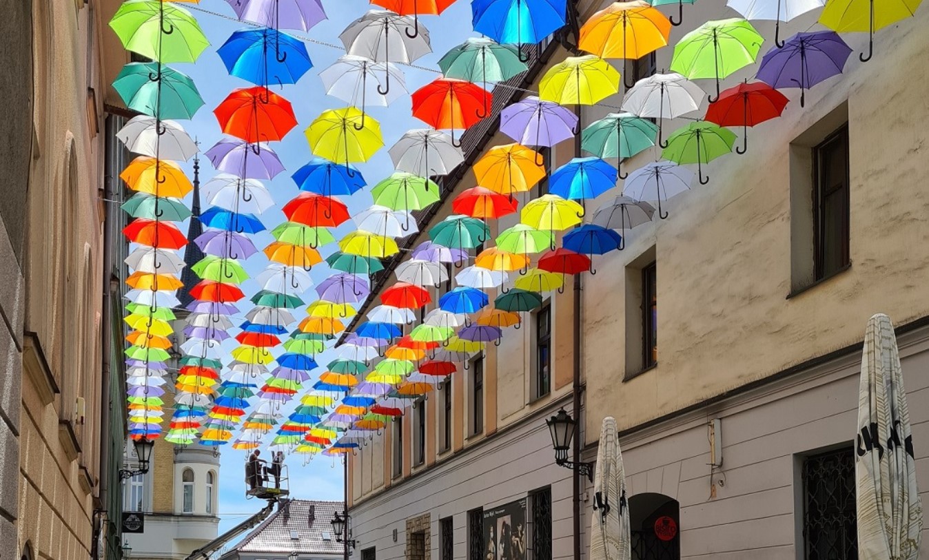 Kolorowe parasolki, Pszczyna 2021