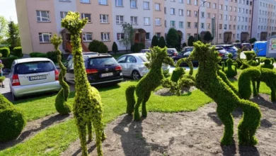 Konie, żyrafy i smok w Żorach. Taki ogród zrobili mieszkańcy [ZDJĘCIA]. Fot. UM Żory