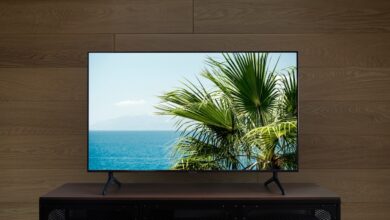 Telewizor OLED do 4000 zł – ranking 4 modeli (fot. mat. partnera)