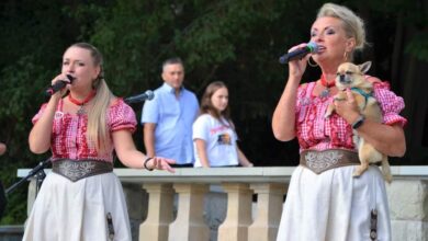 Koncert Solidarni z Ukrainą w Parku Śląskim
