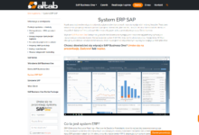 System ERP SAP - podstawowe informacje (fot. mat. partnera)