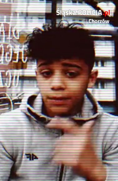 fot.Śląska Policja