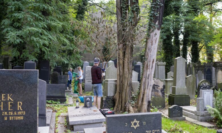 Cmentarz żydowski w Bytomiu już od dłuższego czasu wymagał zainteresowania. [fot. UM Bytom]