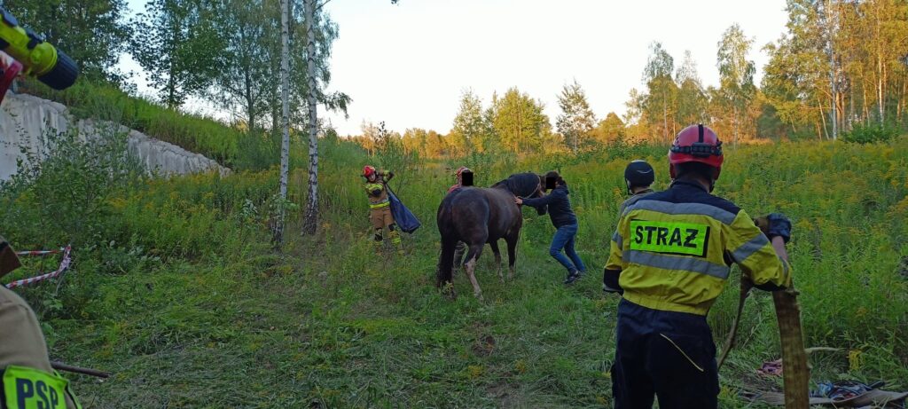 Straż pożarna z Zabrza uratowała konia, który wpadł do studzienki [ZDJĘCIA]. Fot. PSP w Zabrzu