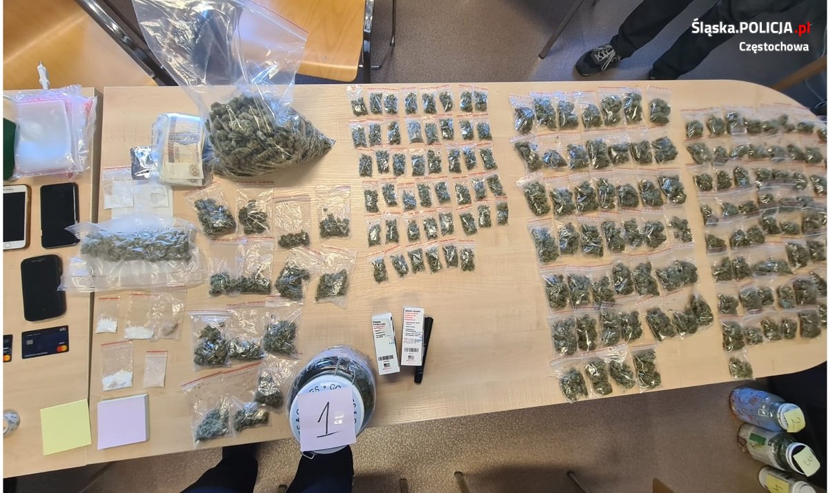 Policjanci przejęli w mieszkaniu 24-latka narkotyki warte 50 tys. złotych. [fot. Policja Śląska]