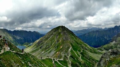 fot.poglądowe/pixabay.com