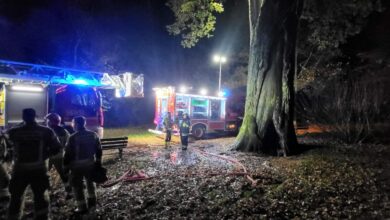 Ktoś podpalił 500-letni dąb „Cysters”. Policja szuka sprawcy. Fot. FB/ RDLP w Katowicach