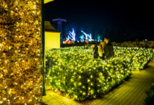 Garden of Lights w Chorzowie