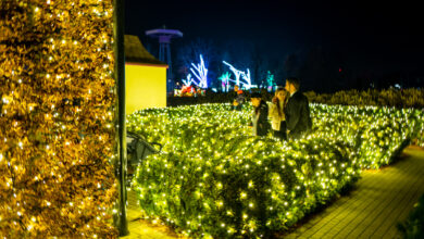 Garden of Lights w Chorzowie