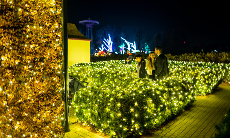 Garden of Lights w Chorzowie