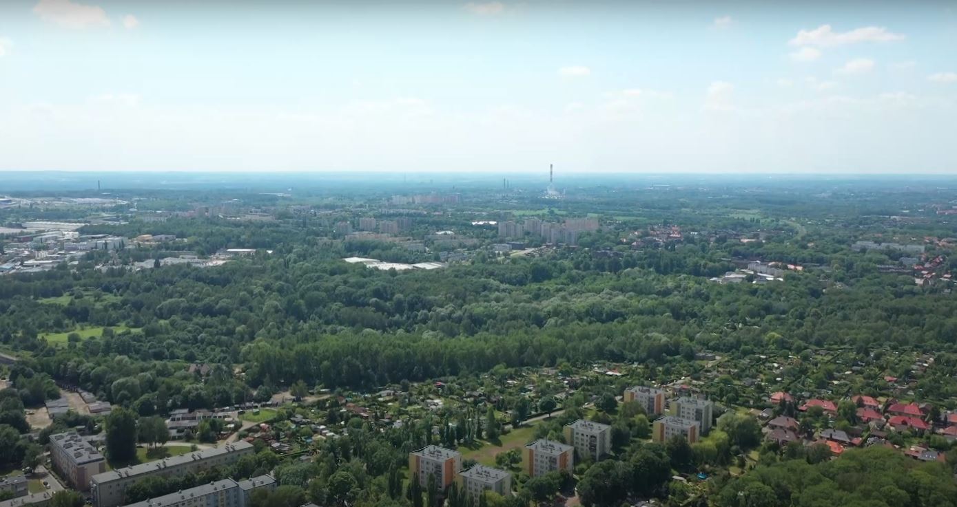 Zielone i Energetyczne