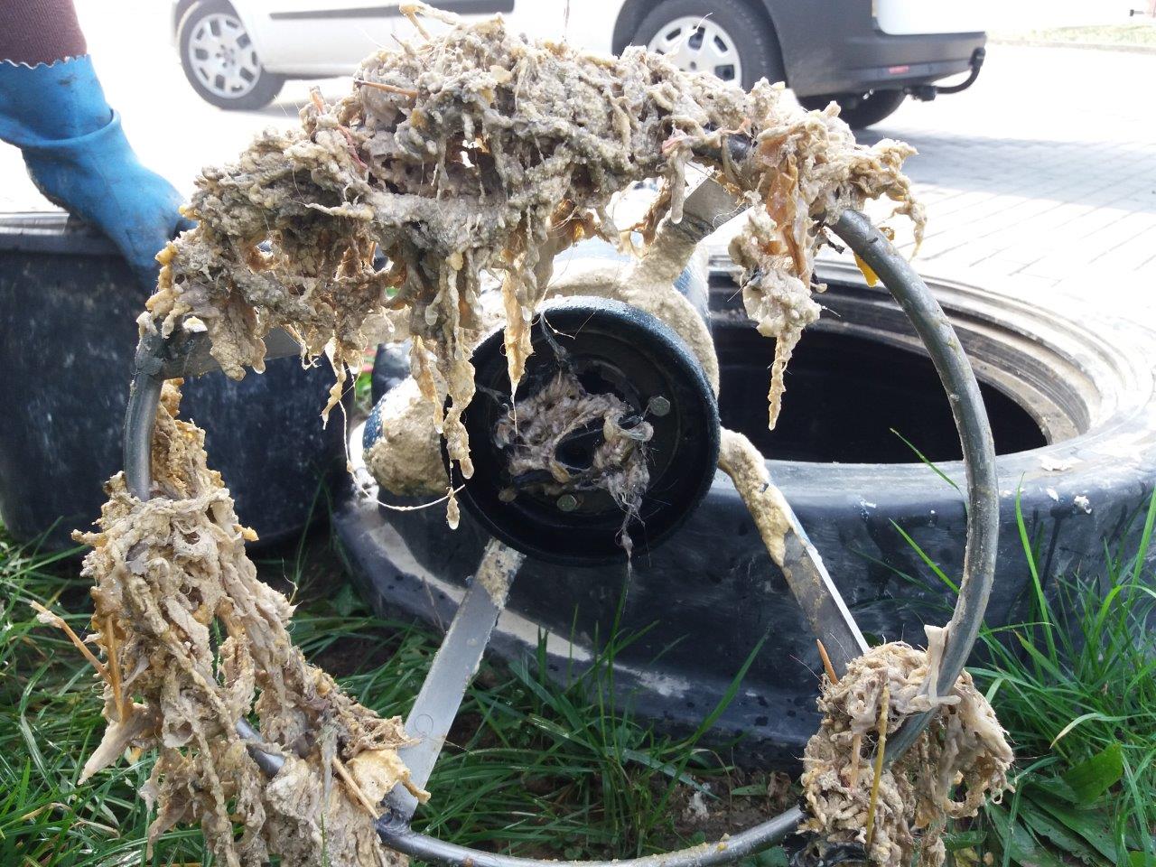 Nie uwierzycie, co mieszkańcy Katowic wrzucają do toalety. Fot. KAW