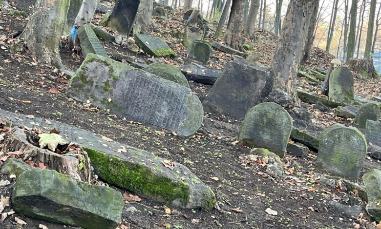 Cmentarz żydowski przy ul. Podzamcze w Będzinie, znajduje się na stromym wzgórzu zamkowym.
