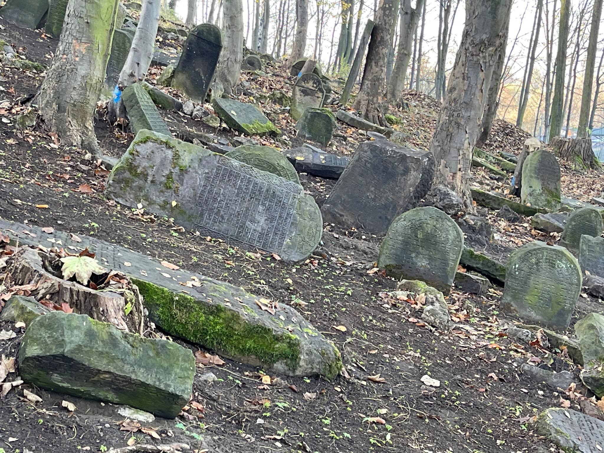 Cmentarz żydowski przy ul. Podzamcze w Będzinie, znajduje się na stromym wzgórzu zamkowym.