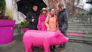 W Rybniku postawili różową świnię. Reklamuje festiwal kabaretowy. Fot. UM Rybnik