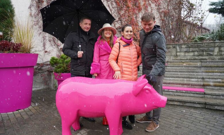 W Rybniku postawili różową świnię. Reklamuje festiwal kabaretowy. Fot. UM Rybnik