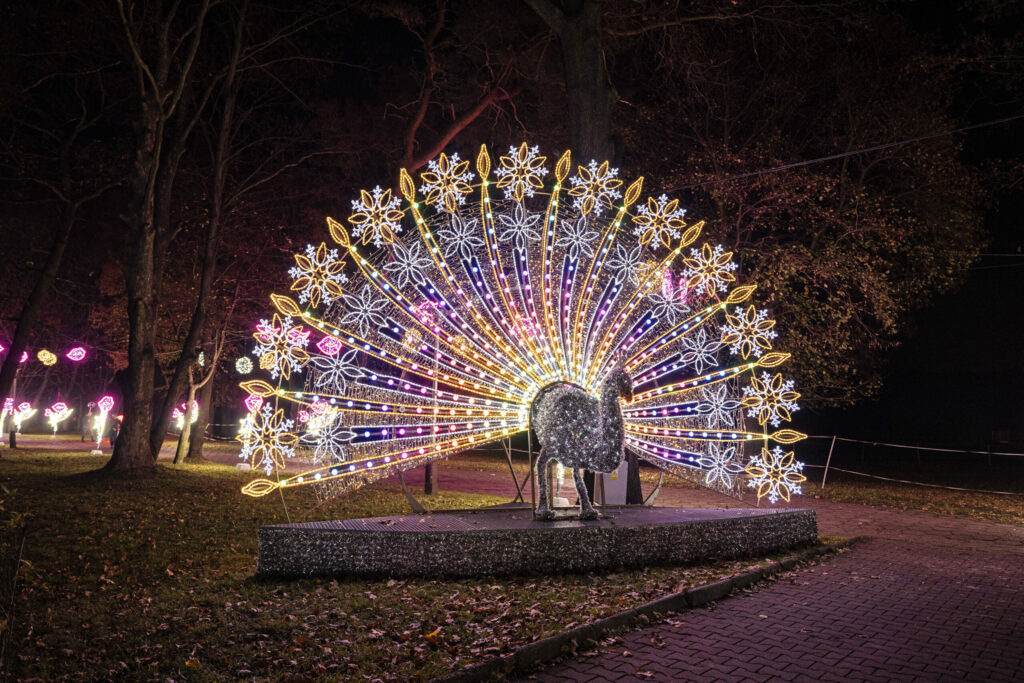 W Zabrzu otwarto Park Miliona Świateł. Jakie są ceny? Zobaczcie zdjęcia. Fot. UM Zabrze