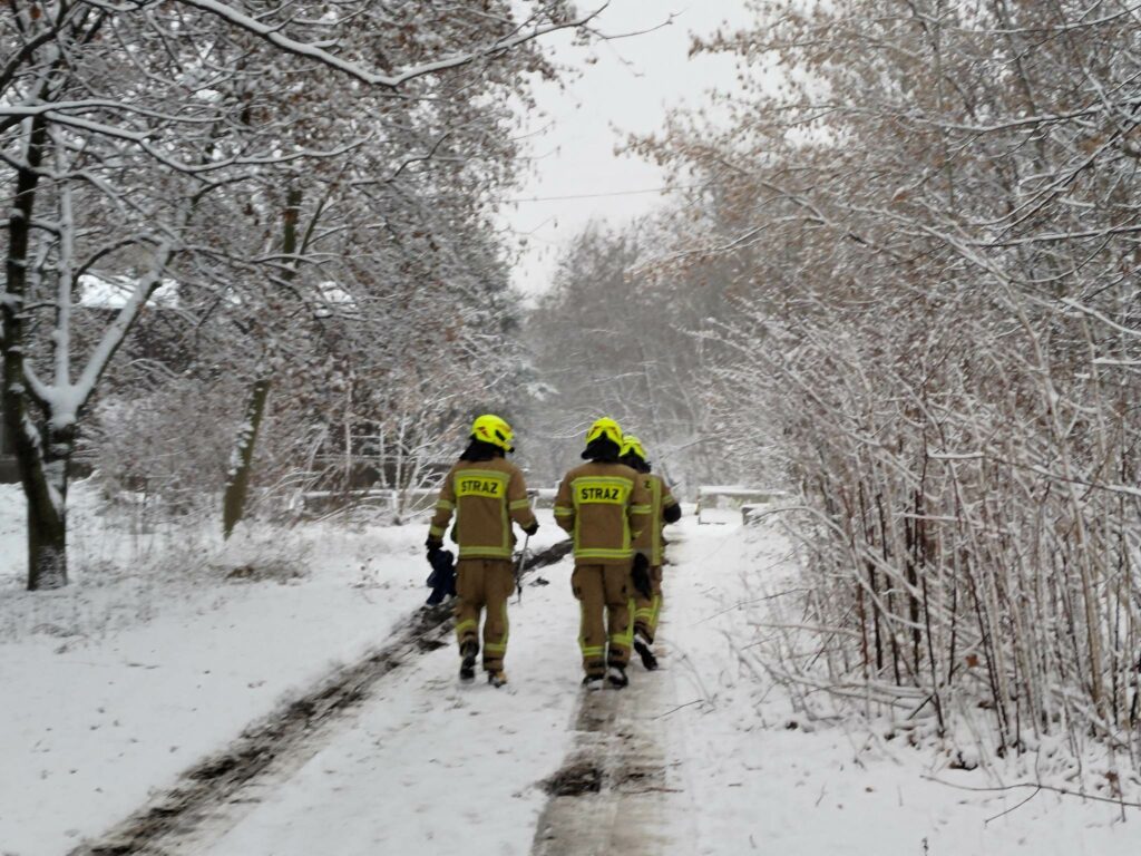Bóbr utknął w studzience. Uratowali go strażacy z Katowic. Fot. OSP Katowice-Szopienice