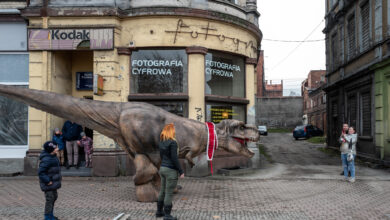 Tyranozaur na spacerze w Mysłowicach/fot.Paweł Jędrusik