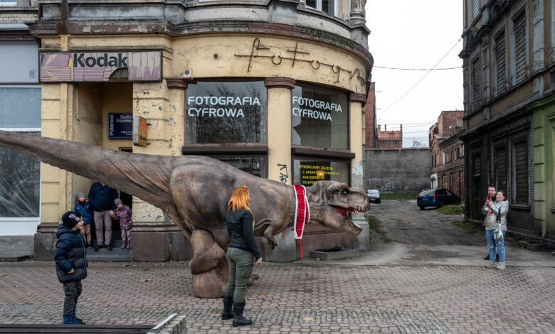 Tyranozaur na spacerze w Mysłowicach/fot.Paweł Jędrusik