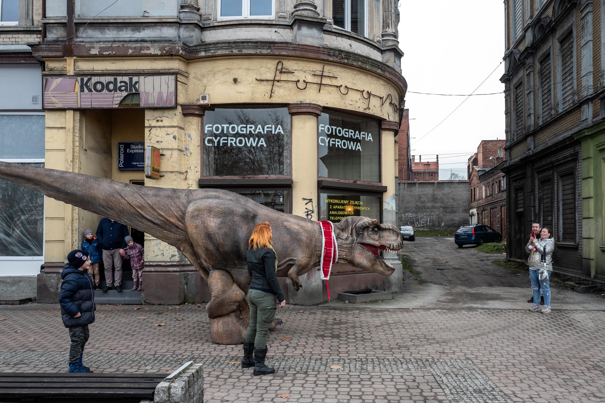 Tyranozaur na spacerze w Mysłowicach/fot.Paweł Jędrusik