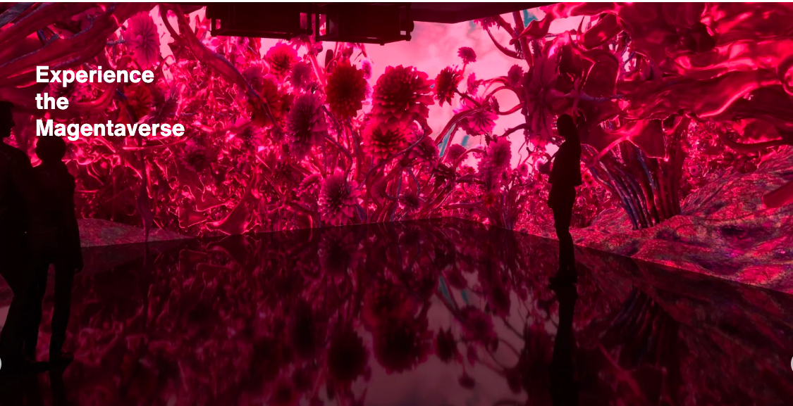 viva magenta jaki to kolor