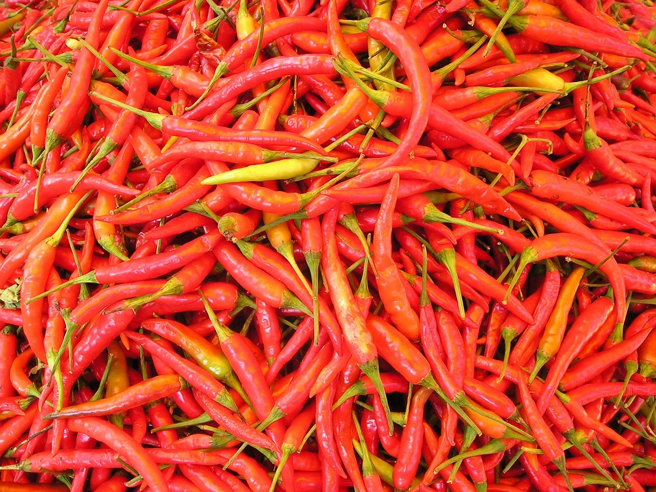 Red Hot Chilli Peppers w Polsce/fot.pixabay.com