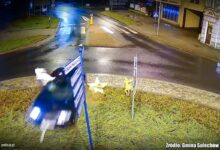 "Przeciął" rondo, bo nie potrafił opanować auta. Mamy wideo/fot.policja.pl