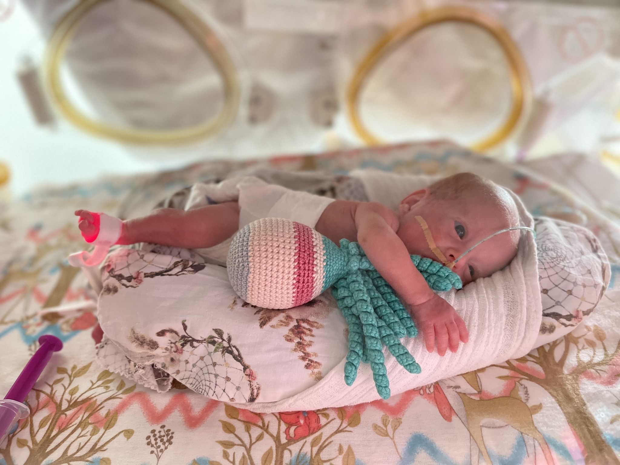 Martusia po urodzeniu ważyła zaledwie 390 g. Po 4 miesiącach opuściła szpital. Fot. Szpital Miejski w Rudzie Śląskiej