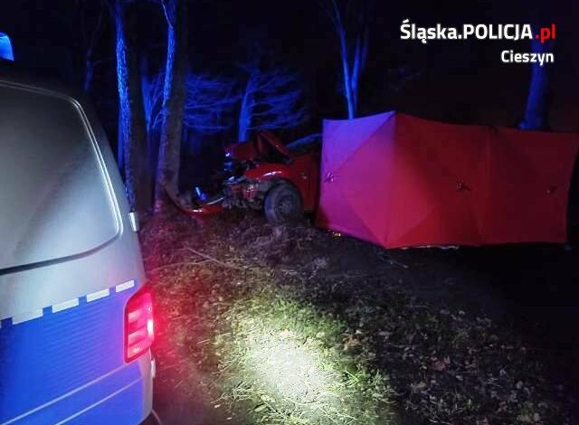 Tragiczny wypadek w pow. cieszyńskim. Walka o życie kierowcy trwała bardzo długo/fot.Śląska Policja