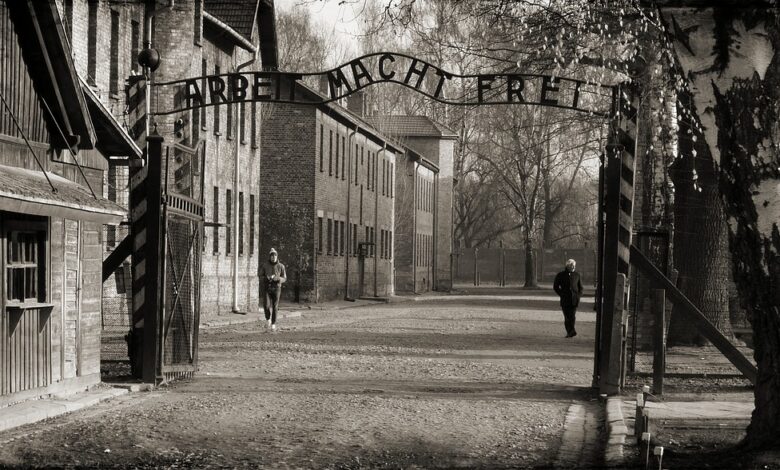 Dziś 78. rocznica wyzwolenia Auschwitz/fot.pixabay.com