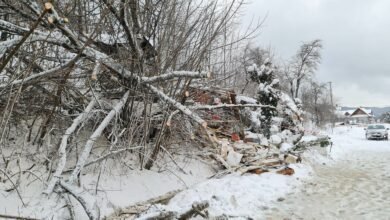 Cisiec: drzewo spadło na dom, jedna osoba nie żyje [ZDJĘCIA]. Fot. Fatima Orlińska