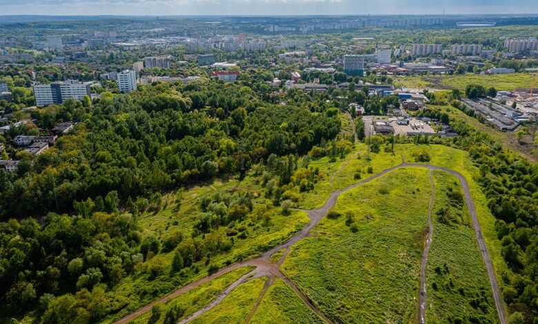 W Katowicach powstaną cztery nowe parki. Fot. UM Katowice