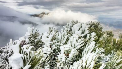 Uwaga! Tatry zamknięte dla turystów