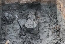 Podczas prac kanalizacyjnych wykopali ludzkie szczątki/fot.policja.pl