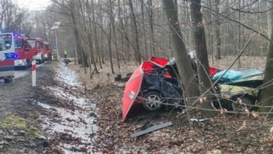 W wyniku wypadku zginał 23-letni kierowca. [fot. PSP Katowice]