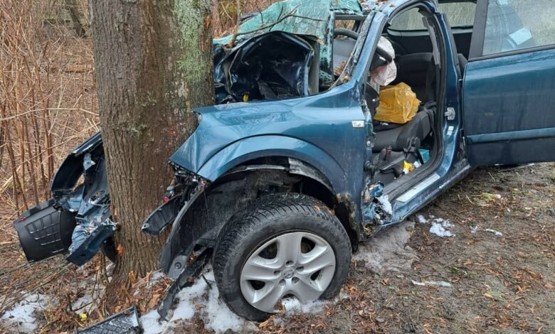 27-latek uderzył w drzewo. Zginął na miejscu/fot.Policja Małopolska