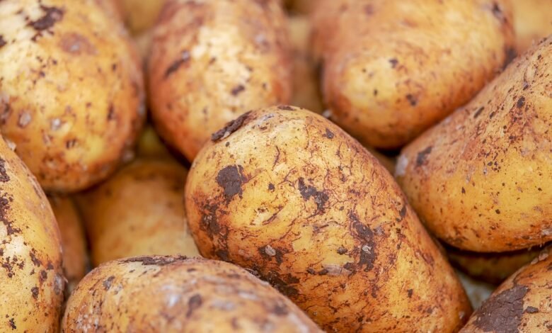 Kupiliście ziemniaki w Lidlu? Są do wyrzucenia/fot.pixabay.com
