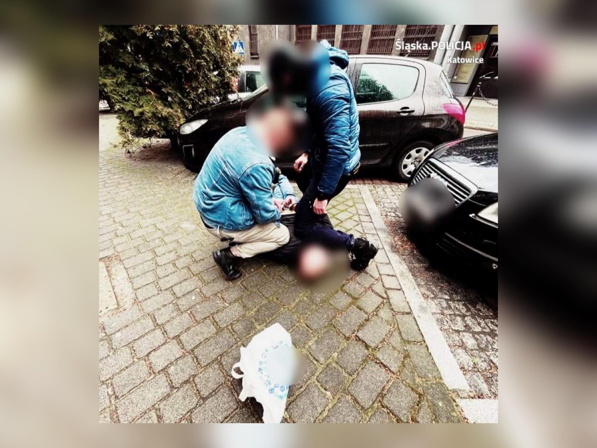 Policjanci zatrzymali "policjanta". Chodzi o próbę wyłudzenia/fot.Śląska Policja
