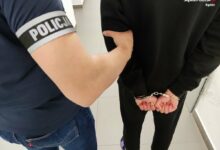Będzin: Dotkliwie pobił 14-latka. 18-latkowi grozi 12 lat odsiadki/fot.Śląska Policja