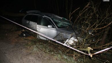 Uderzył w drzewo. Ukrainiec miał ponad 2 promile/fot.Śląska Policja