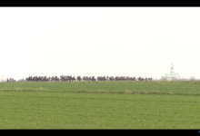 Tradycja to również duże przedsięwzięcie logistyczne, do którego nierzadko konie przygotowuje się na wiele miesięcy przed poniedziałkiem wielkanocnym.